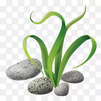 海藻岩-空若网 海藻岩-空若网