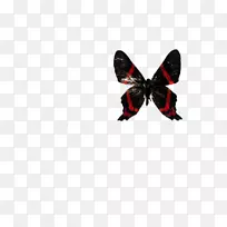 ����-���������棬�걾-������