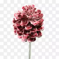 切花玫瑰花束玫瑰-空若网 切花玫瑰花束玫瑰-空若网