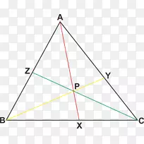 ������CEVA������ѧ�������-������-������