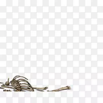 Ь���鱦����-������