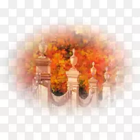 飞机0506147919桌面壁纸飞机博客-飞机-空若网 飞机0506147919桌面壁纸飞机博客-飞机-空若网