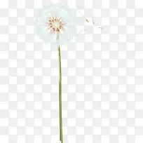 ����ͼ��-��ͨ�ѹ�Ӣ-������