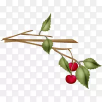 甜樱桃玫瑰-空若网 甜樱桃玫瑰-空若网