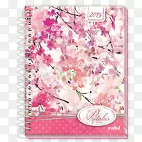 花瓣花卉设计樱花-空若网 花瓣花卉设计樱花-空若网