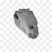 鼻子下巴白色规则头骨-空若网 鼻子下巴白色规则头骨-空若网