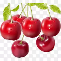 巴巴多斯樱桃-空若网 巴巴多斯樱桃-空若网