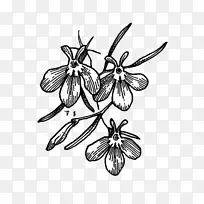 ���ƶԳ���/m/02csfͼ����-������