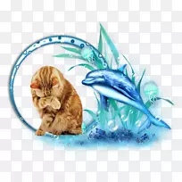 װ�α���Ӱ���������-����-������