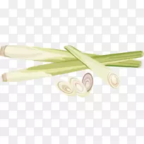 水彩画葱-空若网 水彩画葱-空若网