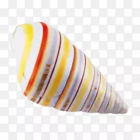 海螺海螺-空若网 海螺海螺-空若网