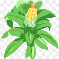 玉米菠萝-玉米-空若网 玉米菠萝-玉米-空若网