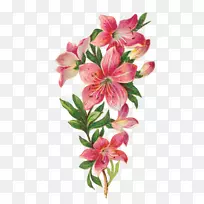 切花-空若网 切花-空若网