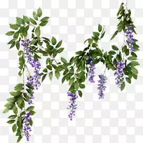 切花花环枝花-空若网 切花花环枝花-空若网