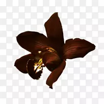 ��������ѹ������.��-������