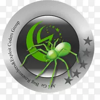 昆虫字体-空若网 昆虫字体-空若网