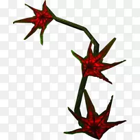 Сֲ֦�ﾥ����ֲ�������ֲ��-������