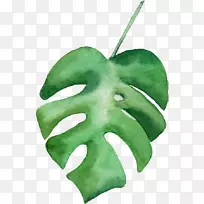 Ò¶Ë®²Ê».Ë®²Ê»Ò¶-¿ÕÈôÍø Ò¶Ë®²Ê».Ë®²Ê»Ò¶-¿ÕÈôÍø