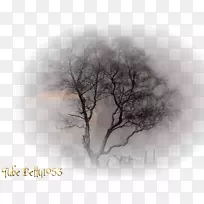 新浪博客桌面壁纸-Arriere计划-空若网 新浪博客桌面壁纸-Arriere计划-空若网