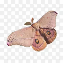 ��������-����-������