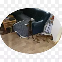 狗/米/083 vt木-狗-空若网 狗/米/083 vt木-狗-空若网