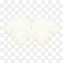 角-漂亮的翅膀-空若网 角-漂亮的翅膀-空若网