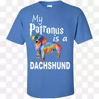 t��ñ������ӡ��t��-������