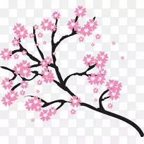 樱花画片艺术-樱花-空若网 樱花画片艺术-樱花-空若网