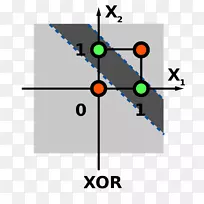 �������ѧ��������-������