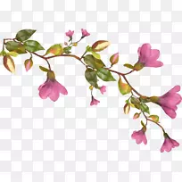 插花艺术-空若网 插花艺术-空若网