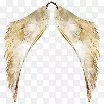绘画剪贴画-假翅膀-空若网 绘画剪贴画-假翅膀-空若网