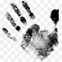 动画电影皮克斯学院奖梦工厂动画-空若网 动画电影皮克斯学院奖梦工厂动画-空若网