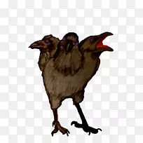 用喙鸡做食物-乌鸦-空若网 用喙鸡做食物-乌鸦-空若网