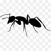 ÂìÒϼôÓ°À¥³æ¼ôÌù»-¼ôÓ°-¿ÕÈôÍø ÂìÒϼôÓ°À¥³æ¼ôÌù»-¼ôÓ°-¿ÕÈôÍø