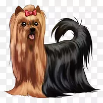 Լ�˿���Ȯ�Ĵ�����˿����Ȯ��Ȯ˫β��ȮƷ��-����-������