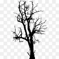 树枝轮廓树-空若网 树枝轮廓树-空若网