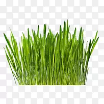 ��ݡ����󡢹��ࡢ����ݡ���ͨС��-����-������