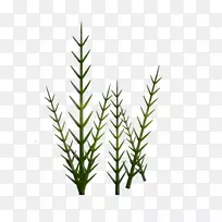 ɼľ��ɼ��-������