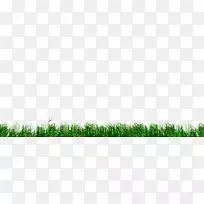 草坪麦草草原作物天空-空若网 草坪麦草草原作物天空-空若网
