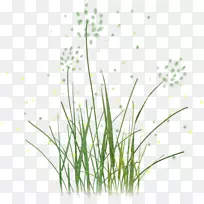 ������޼�����-������