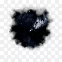 桌面壁纸毛皮白色鼻子字体-电脑-空若网 桌面壁纸毛皮白色鼻子字体-电脑-空若网