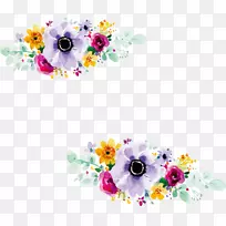 ������ƻ������뺯ˮ�ʻ�����ˮ�ʻ�װ�κ�-������