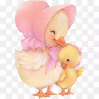 ĸ���������İ���������-����-������