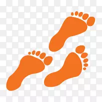 Bydgoszcz科技和生命科学大学智能手表脚组织剪贴画-空若网 Bydgoszcz科技和生命科学大学智能手表脚组织剪贴画-空若网