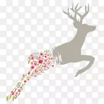 花卉设计水彩画花卉设计-空若网 花卉设计水彩画花卉设计-空若网