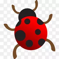 七星瓢虫手绘七星瓢虫-空若网 七星瓢虫手绘七星瓢虫-空若网