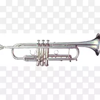 С�ţ���ɭ���������ӽ�Ŀ����ͭ����.С��-������