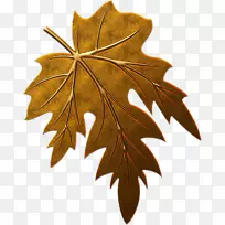 ��ֽ����-������