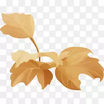 纸花瓣叶-空若网 纸花瓣叶-空若网