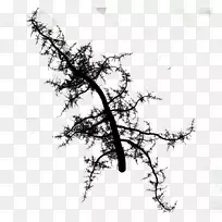 ��֯��ѧ��ģϵͳ/m/02csf-������